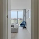 Shore - Санта-Круш