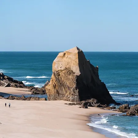 Shore - Santa Cruz (Oeste)